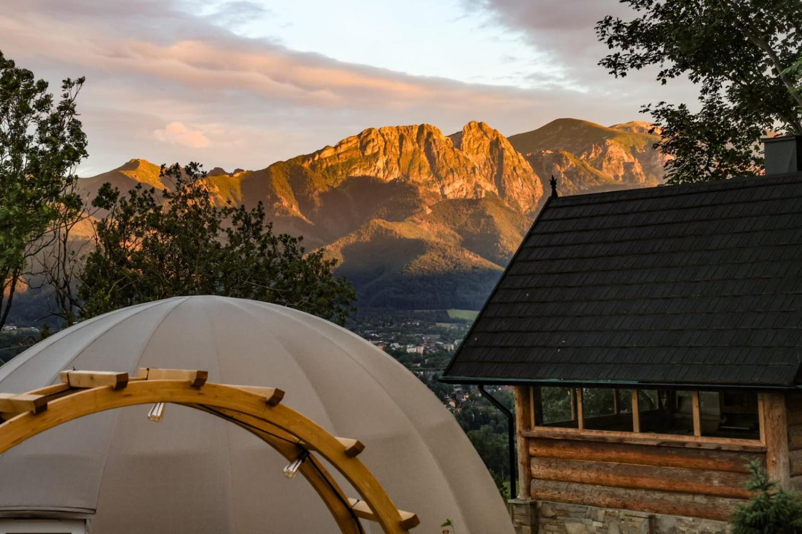 Zako Glamp & Jacuzzi Ząb